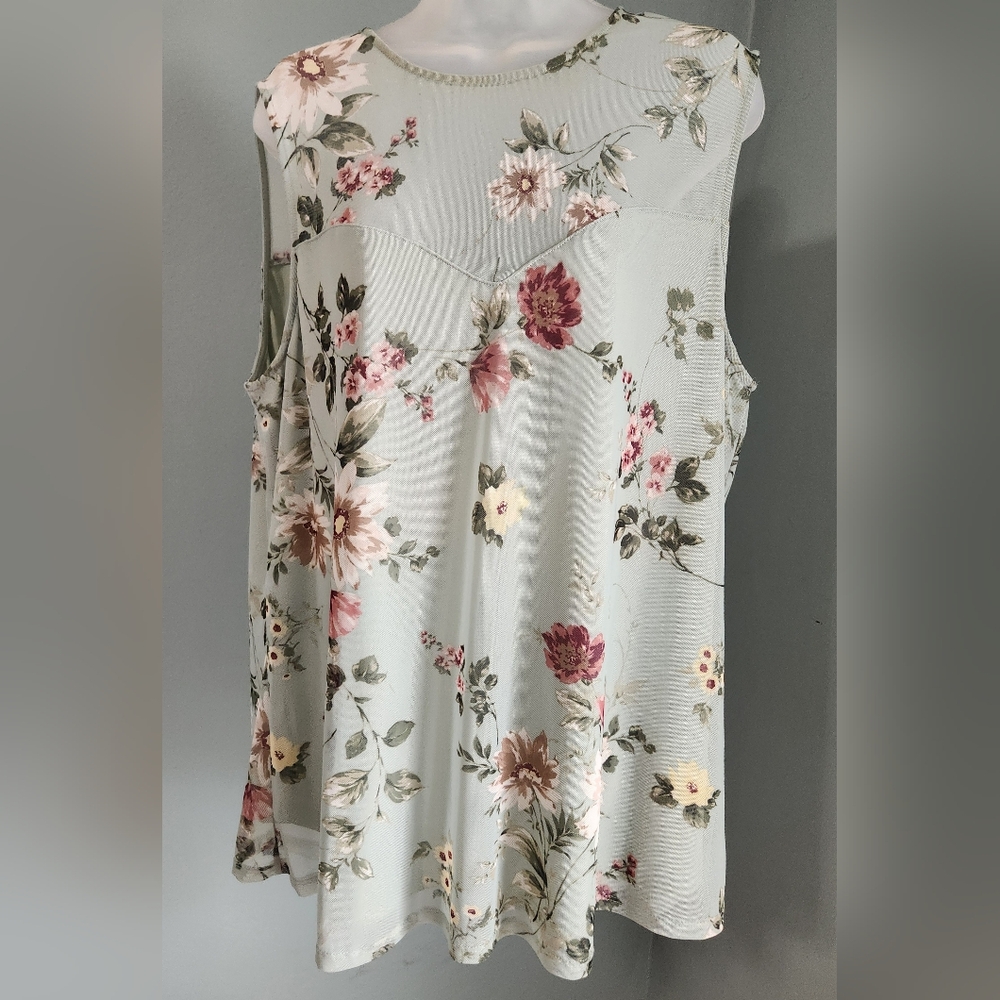 Stunning Pale Green Shear Mesh Top With Sweetheart Neckline